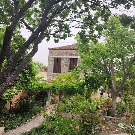 Viglatoras Daire Sárkhos Dış mekan fotoğraf