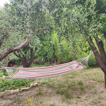 Viglatoras Daire Sárkhos Dış mekan fotoğraf